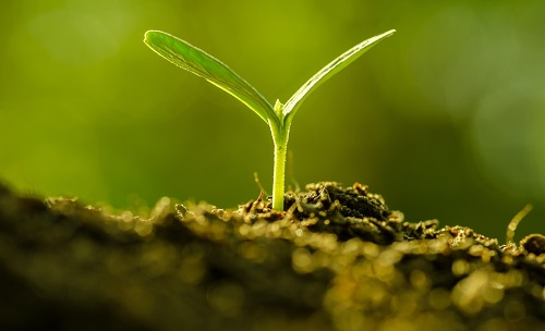為避免誤導(dǎo)用戶，便攜式土壤水分速測儀使用需注意