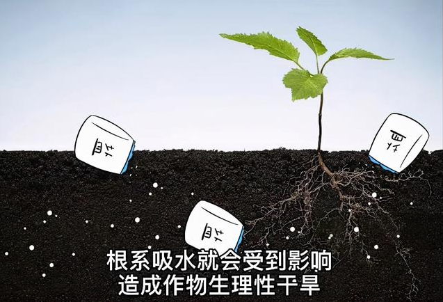 土壤EC值和pH值與作物生長的關(guān)系，利用土壤鹽分儀緩解土壤鹽漬化