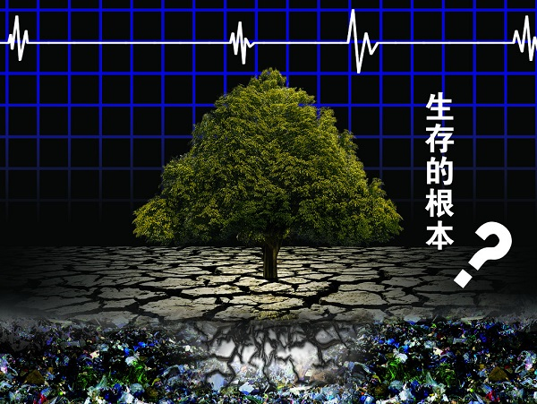 土壤重金屬嚴(yán)重超標(biāo)，土壤修復(fù)離不開(kāi)土壤檢測(cè)儀